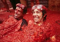 festival tomatina