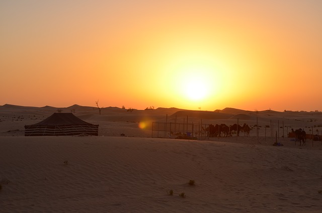 desert-abu-dhabi